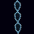 DNA molecule, vector graphics