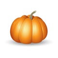 Orange pumpkin - cartoon vector illustration isolated on white background