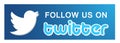 Follow us on Twitter logo icon bird vector element on white background