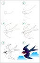 Educational page for kids. How to draw step by step a cute swallow. Back to school.
