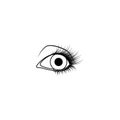 Beautiful human eye with eyelashes grahic drawing. Royalty Free Stock Photo