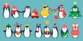 Christmas penguin characters.