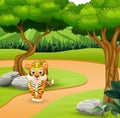 Wild scary tiger walking in the jungle