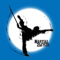 Martial art splash wushu