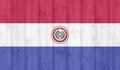 Grunge paraguay flag