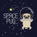 Pug in an astronaut`s helmet. Pug astronaut flies in space