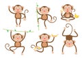 Cute little monkeys cartoon vector set in different poses