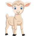 Cartoon happy lamb isolated on white background
