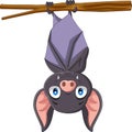 Cute bat cartoon hanging on the branch Royalty Free Stock Photo