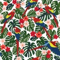 Seamless tropical pattern, monstera leaves, red ara parrots on a white background. Royalty Free Stock Photo