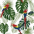 Seamless tropical pattern, monstera and palm leaves, red ara parrots on a white background. Royalty Free Stock Photo
