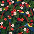 Seamless tropical pattern, monstera leaves, Chinese rose flowers, red ara parrots on a black background. Royalty Free Stock Photo