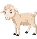Cartoon happy lamb isolated on white background