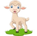 Cartoon happy lamb on the grass