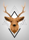 Polygonal low poly deer design Royalty Free Stock Photo
