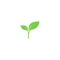 Young sprout green vector icon.