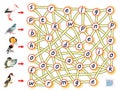 Logic puzzle game for study English with labyrinth. Find the way from each bird and join letters so you can read the words.