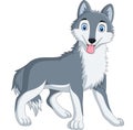 Cute wolf cartoon on white background