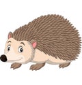 Cartoon happy hedgehog on white background