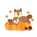 Cute squirrels on pumkins in autumn.