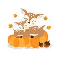 Cute deer mom and baby on pumkins in autumn. Royalty Free Stock Photo