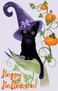 Happy Halloween card. Witch cat and pumpkin Royalty Free Stock Photo