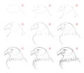 How to draw step-wise sketch of imaginary cute eagles head. Creation step by step pencil drawing. Educational page. Royalty Free Stock Photo