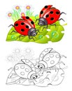 Two cute ladybirds sitting on a leaf. Colorful and black and white page for coloring book for kids.