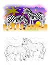 Two cute zebras in African desert. Colorful and black and white page for coloring book for kids. Royalty Free Stock Photo