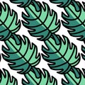 Seamless pattern young leaves seedlings on a white background.  Vector illustration Royalty Free Stock Photo