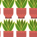 Seamless pattern background green and yellow young leaves seedlings on a white background.  Vector illustration Royalty Free Stock Photo