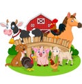 Collection of farm animals cartoon Royalty Free Stock Photo