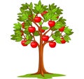 Cartoon apple tree isolated on white background Royalty Free Stock Photo