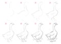 How to draw from nature step by step sketch of goose on farm. Creation step-wise pencil drawing. Educational page for artists.