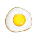 Vector realistic fried egg. Fresh food