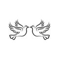 Illustration template of twin pigeons, illustration template of twin doves. elegant bird vector logo, beautiful bird vecktor logo,
