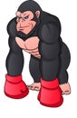 Gorilla in sportswear and boxing gloves