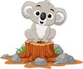 Cartoon baby Koala sitting on tree stump