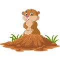 Cartoon funny groundhog standing outside its burrow