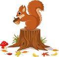 Cartoon funny squirrel holding pine cone on tree stump Royalty Free Stock Photo