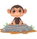 Cute baby monkey cartoon sitting on the rock Royalty Free Stock Photo