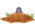 Cartoon mole come out of the hole Royalty Free Stock Photo