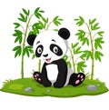 Cartoon baby sitting panda in the jungle bamboo