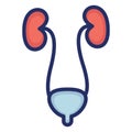 Bladder Isolated Vector Icon that can be easily modified or edit