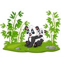 Cartoon mom and baby panda in the bamboo tree Royalty Free Stock Photo