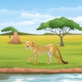 Cartoon cheetah in the Savannah