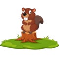 Cartoon beaver on tree stump