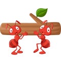 Team of ants carries log Royalty Free Stock Photo