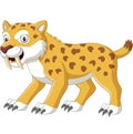 Cartoon angry wildcat on white background