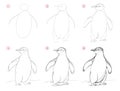 How to draw from nature sketch of cute penguin. Creation step by step pencil drawing. Educational page for artists.